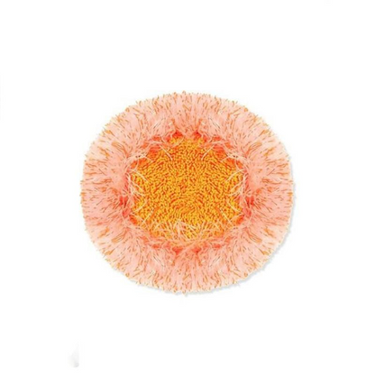 360° Rotatable Adjustable Cleaning Mop